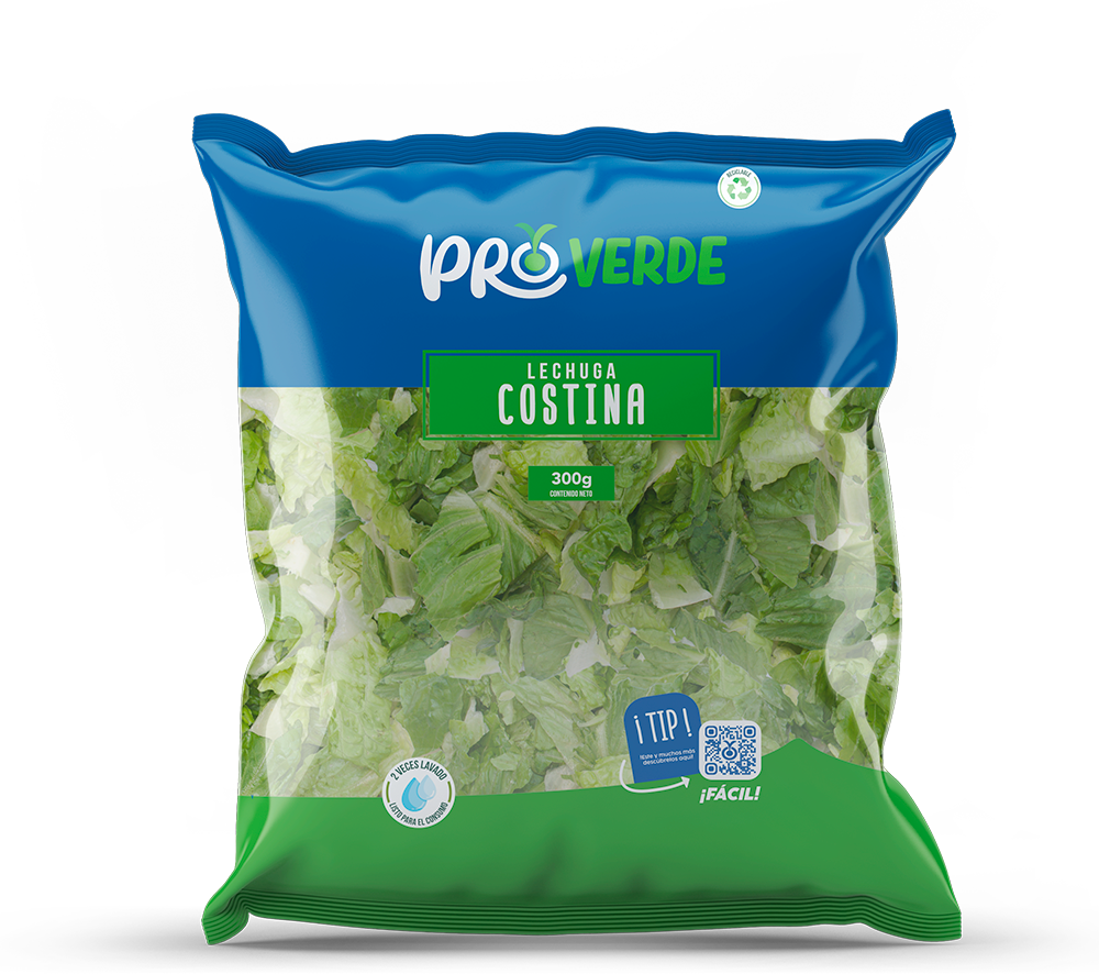Ensalada Lechuga Costina 300 GR
